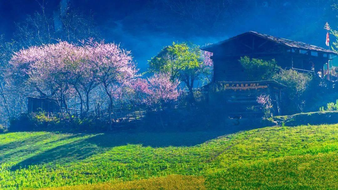 太岁到底是什么生命体游戏画面